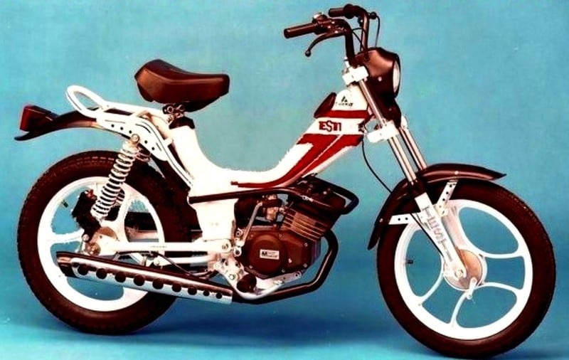 Testi Cricket 4M, 1981